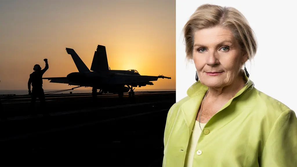 Stridsflyg (till vänster). Till höger: Cecilia Uddén klädd i en ljusgrön jacka.