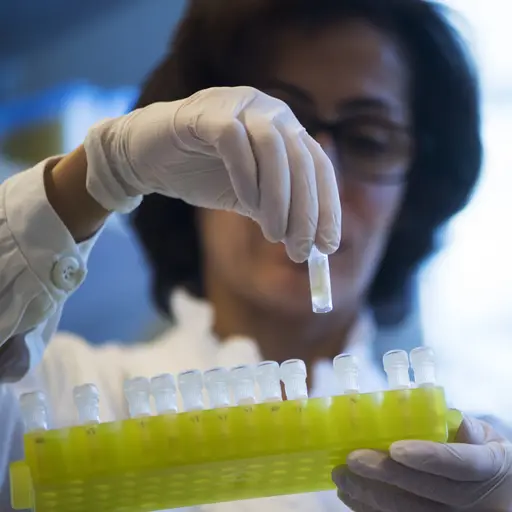 Provrör med DNA. Foto: 	Fredrik Sandberg/TT