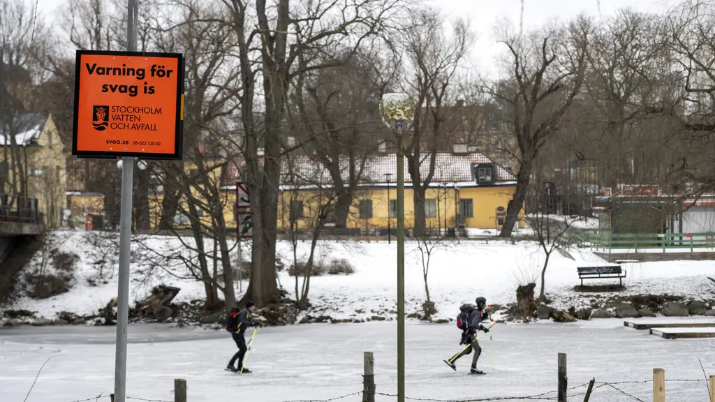 Per Carlbring, professor i psykologi vid Stockholms universitet, långfärdsskridskoåkaren Lotta Dizengremel, och hunden Ludde, står vid den islagda Riddarfjärden.