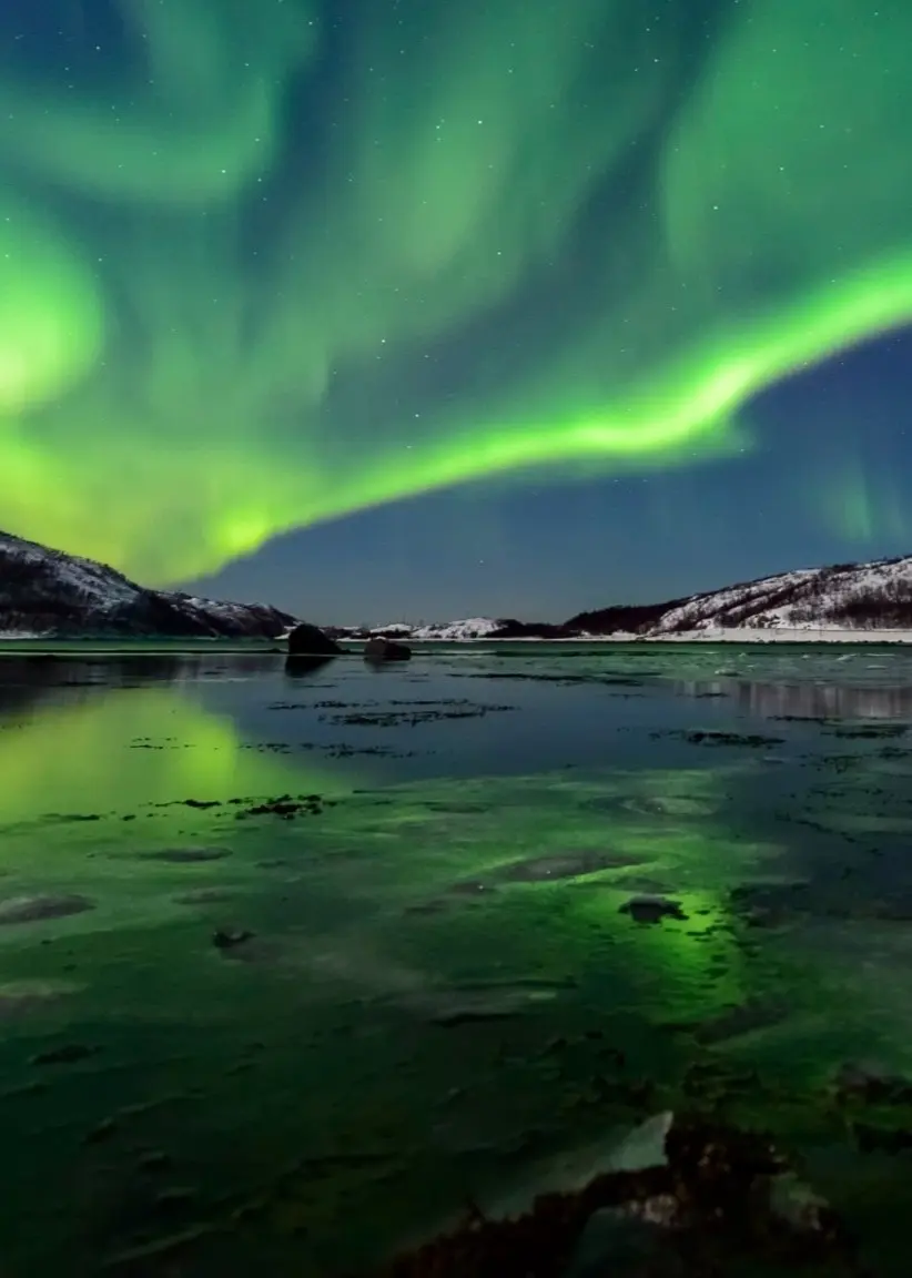 Programbild för Musik mot midnatt