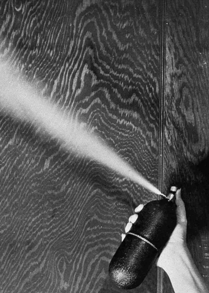 En kvinna sprejar DDT ur en burk