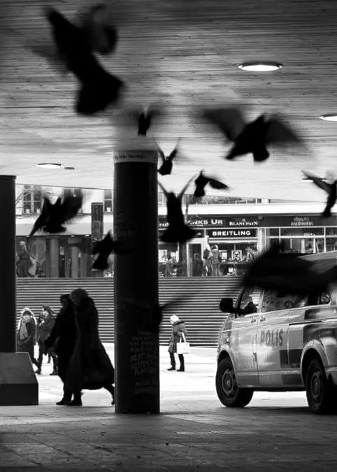 Polisbil på ”Plattan”, Sergels torg, i Stockholm. Foto: Jenny Groth/Andreas Dybeck.