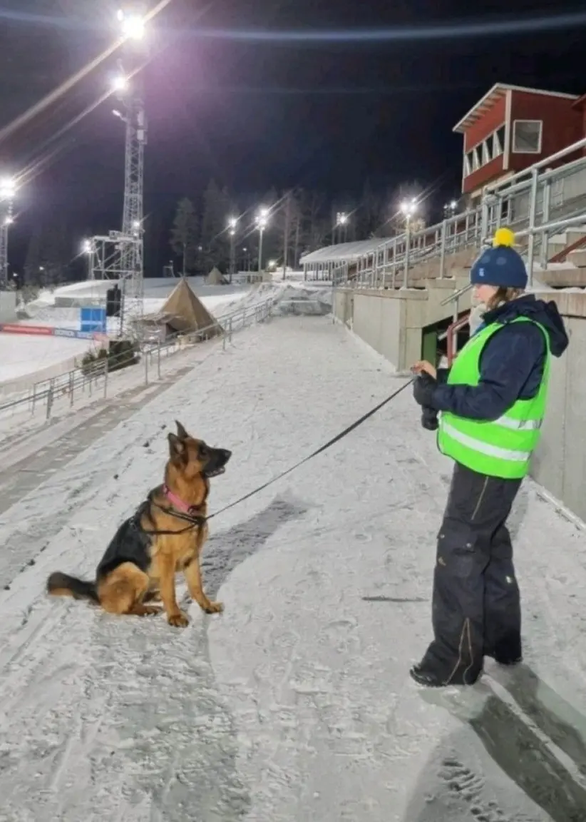 Till vänster: Jeanette Johansson står utomhus i vintermiljö med snö och julbelysning i bakgrunden. Hon har på sig en blå jacka och mössa med gul tofs. En gran med ljus syns tydligt i bakgrunden. Till höger: Jeanette Johansson, nattvakt klädd i reflexväst, står med sin tjänstehund på en snötäckt skidskyttestadion under nattbelysning.