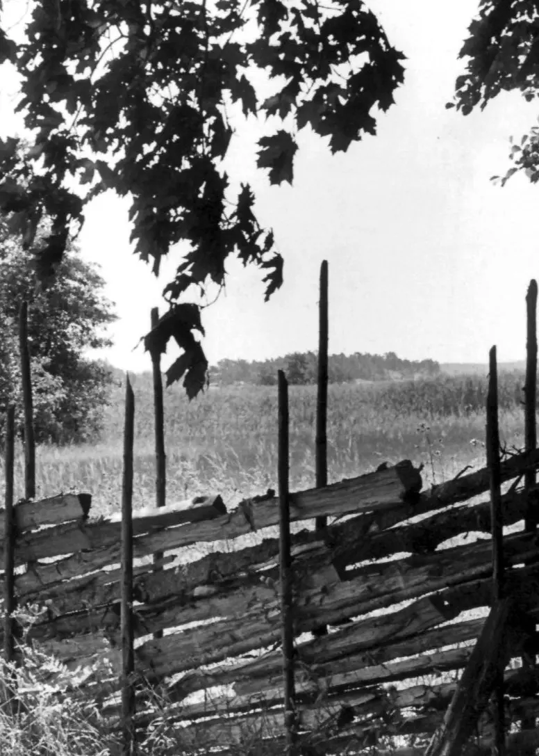 Ängsö nationalpark i Stockholms Skärgård.
