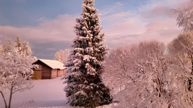 Inga-Lill Poromaa voitti kuukauen kuvakilpailun.