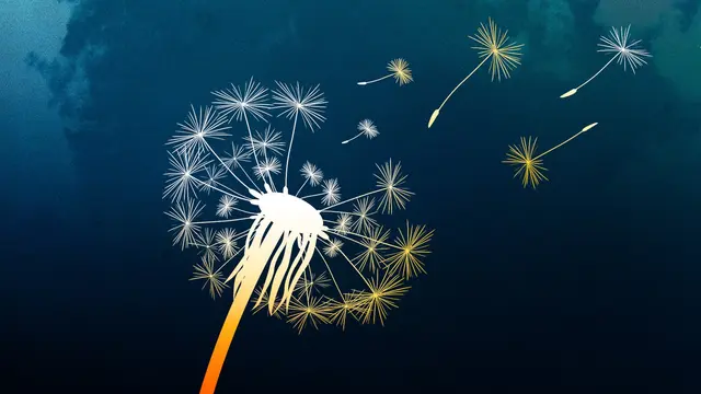 Programbild för Tankar för dagen