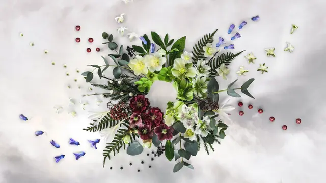 Programbild för Sommar & Vinter i P1