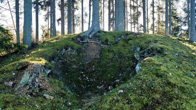 Johan Olof Wallins grotta, Stadra