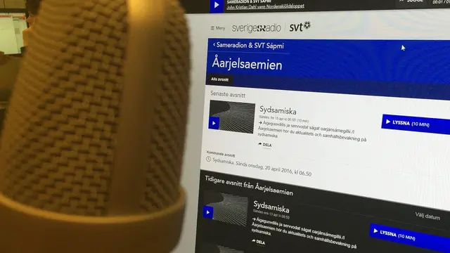 Programbild för Sydsamiska