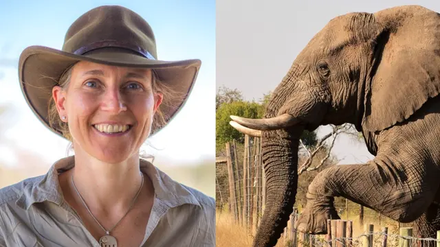 Elefantforskaren Kate Evans.