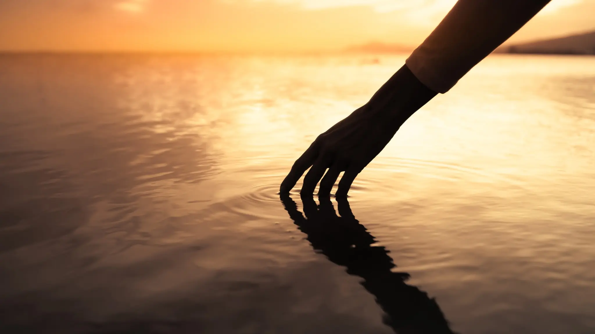 Programbild för Musik mot midnatt