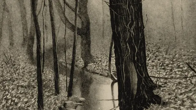 Autumn Lake Mohegan av Seth Hoffman