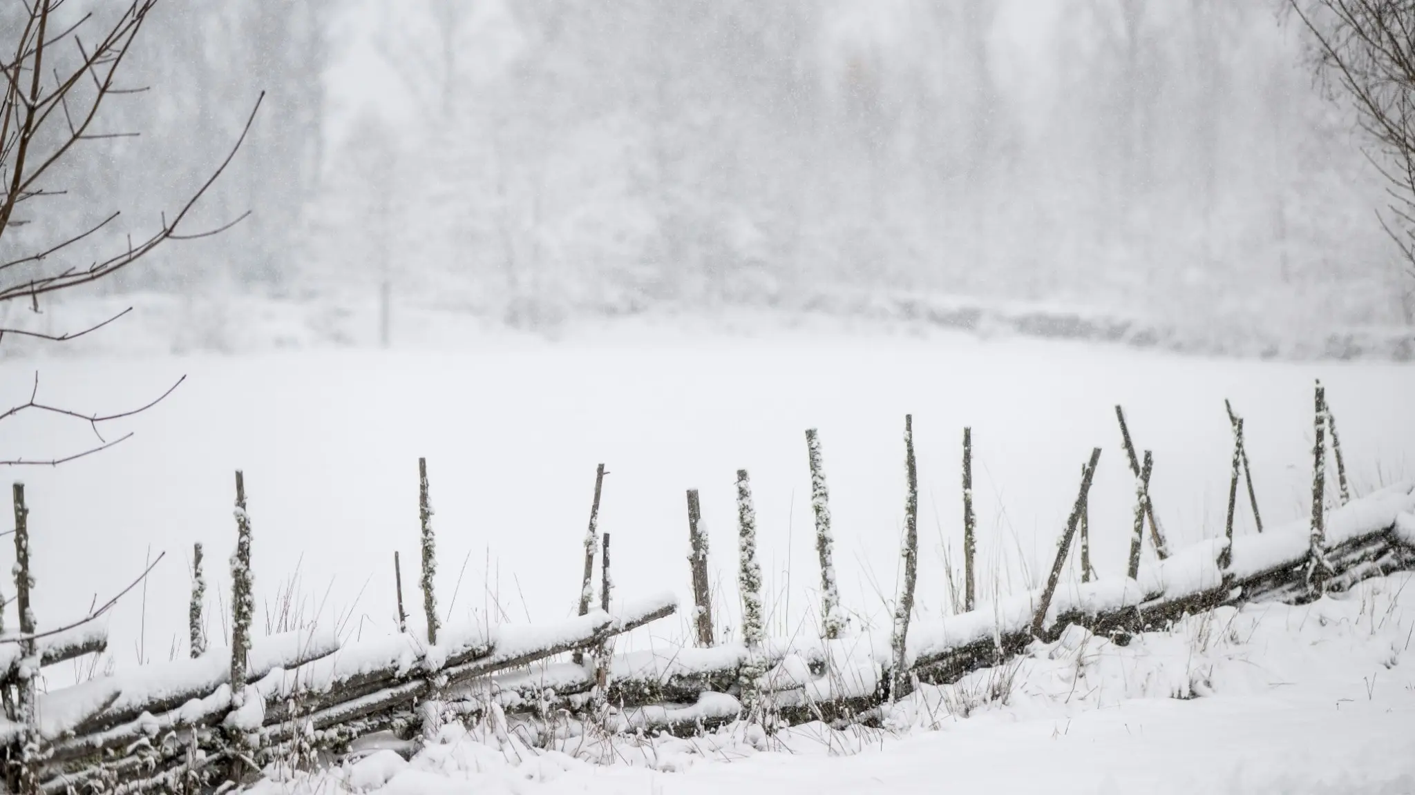Vinterlandskap i Nybrotrakten i Småland efter att ett kraftigt snöoväder dragit in över sydöstra Sverige.