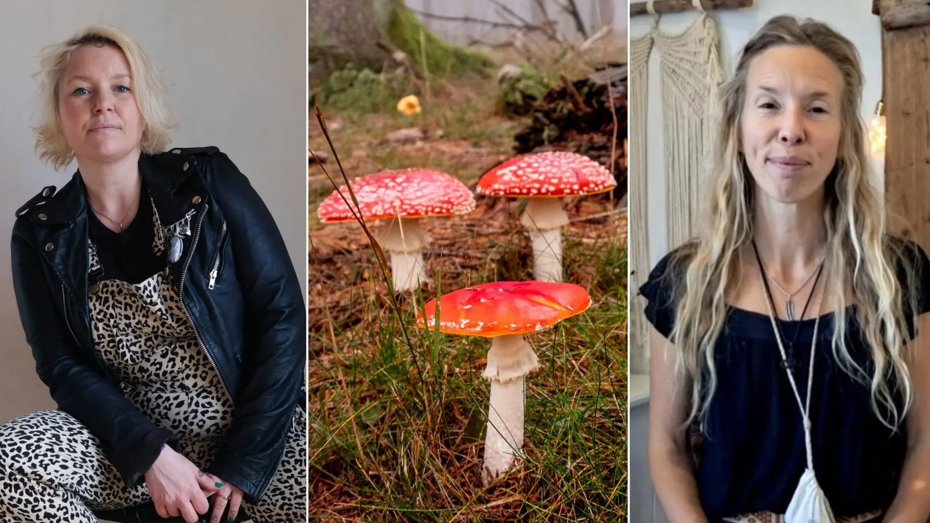 Ett bildkollage med tre sektioner: till vänster en person i svart läderjacka och leopardmönstrad klädsel, i mitten tre röda flugsvampar i naturen, och till höger en person med långt blont hår.