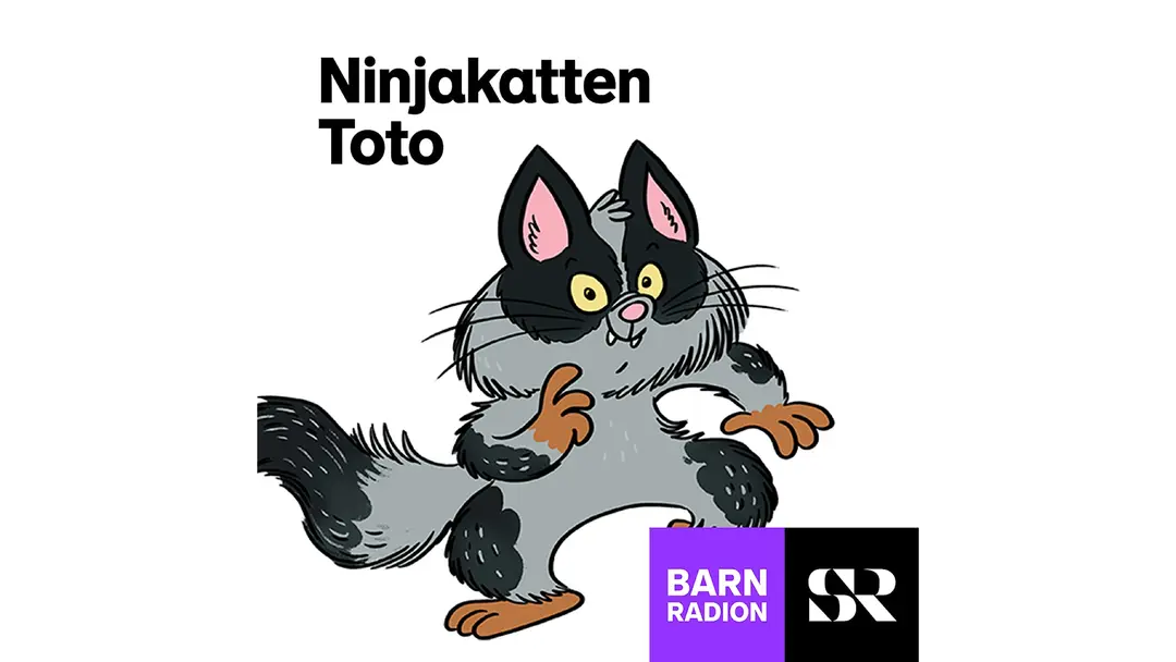 Konvolut för Ninjakatten Toto