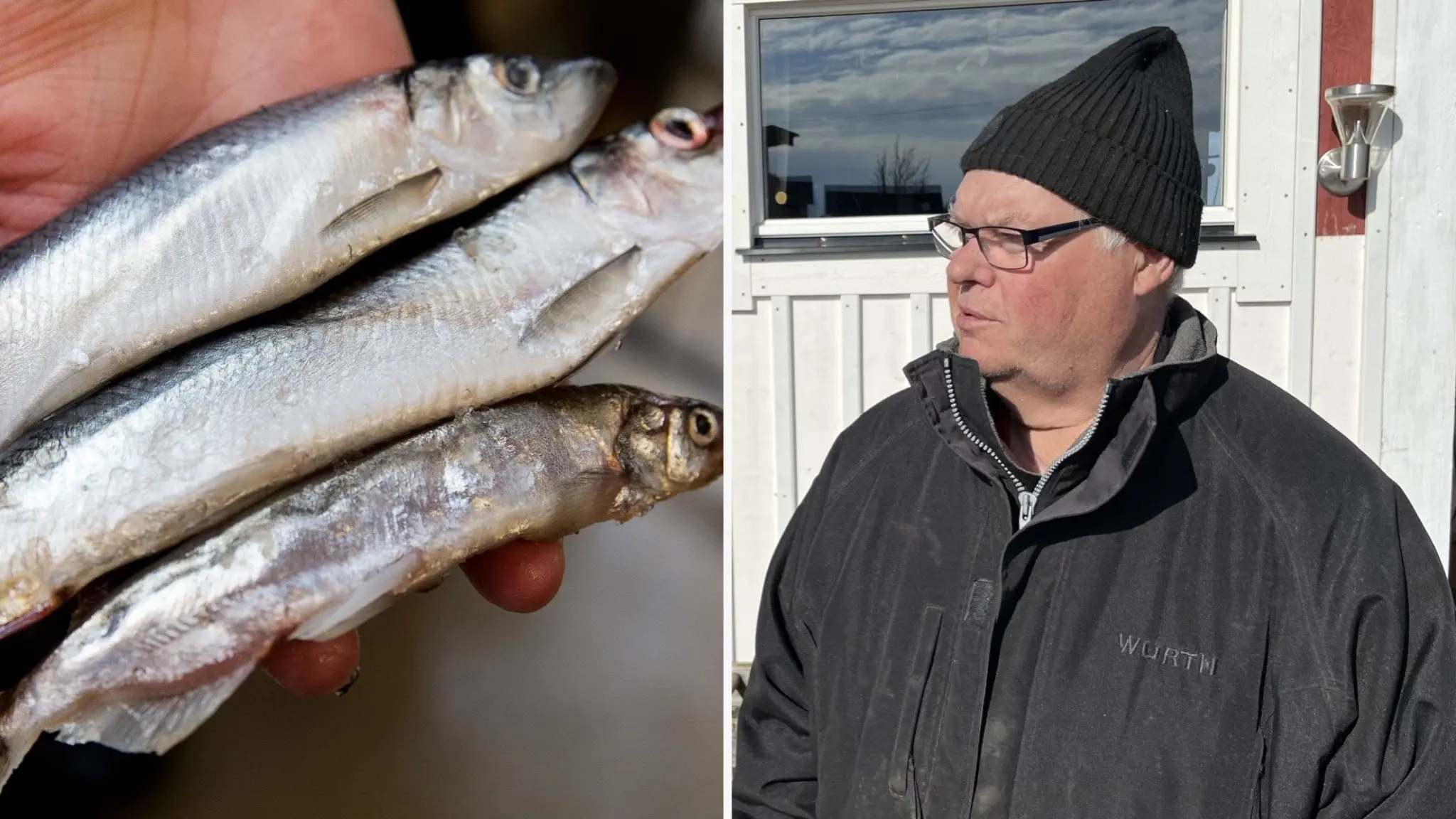 Stefan Nilsson vill få till ett ordentligt fiske till mat, men det är svårt.