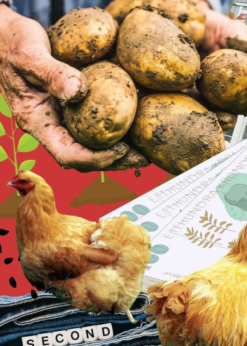 Konstnärligt collage i starka färger, bland annat med hönor, en tvättmaskin, potatisar och ett bostadshus.