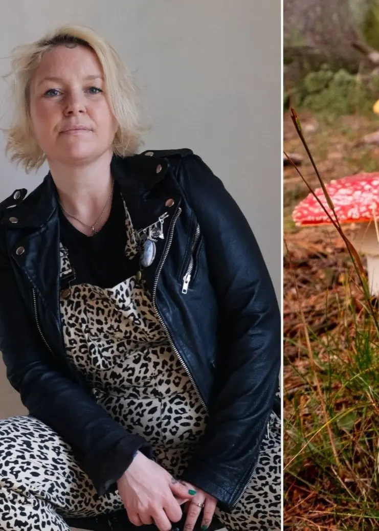 Ett bildkollage med tre sektioner: till vänster en person i svart läderjacka och leopardmönstrad klädsel, i mitten tre röda flugsvampar i naturen, och till höger en person med långt blont hår.
