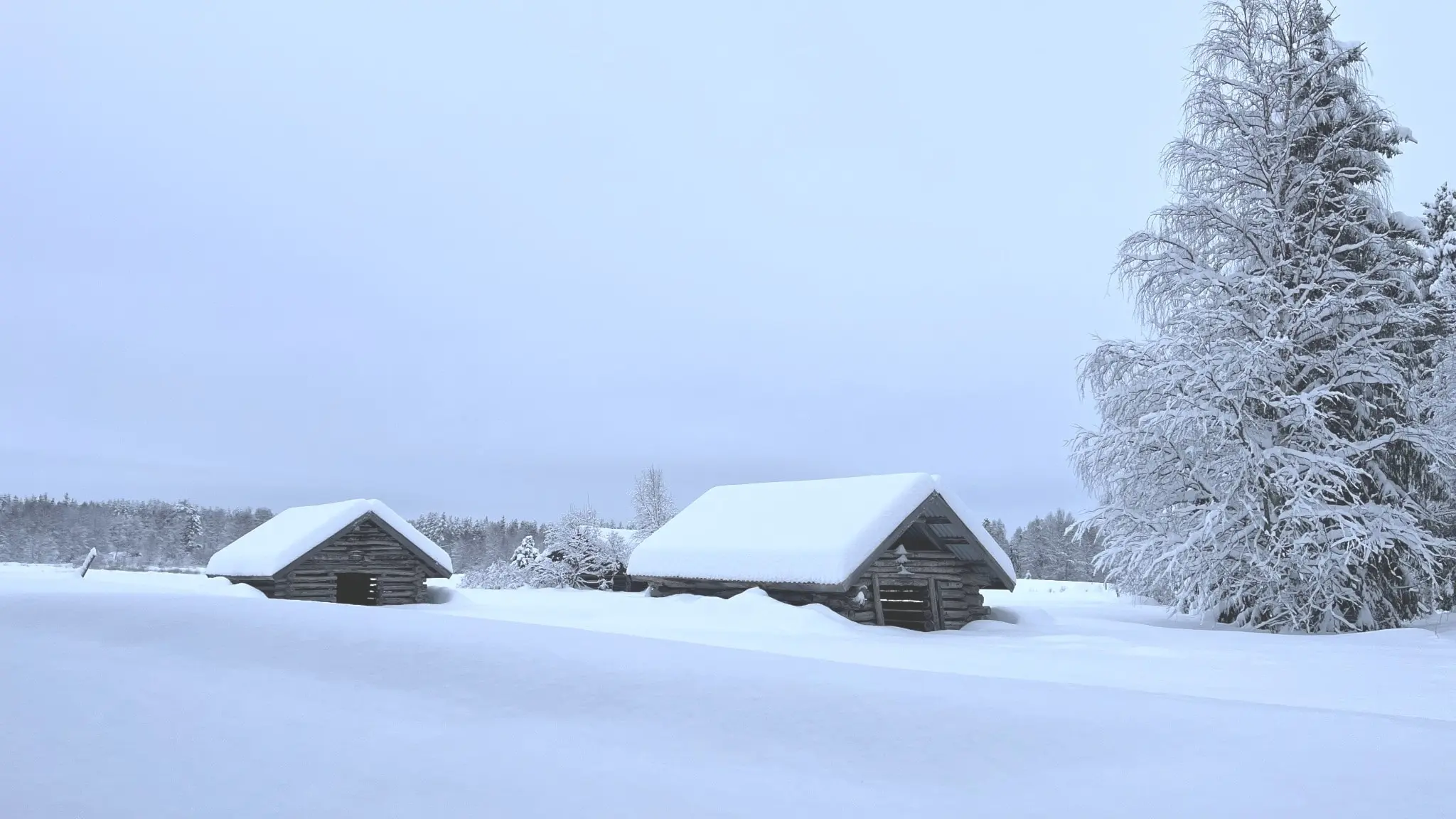 Snötäckt äng i Neistenkangas med två gamla träbodar och ett stort frostigt träd i bakgrunden. Vinterlandskapet är täckt av tjockt lager snö under en molnig himmel.