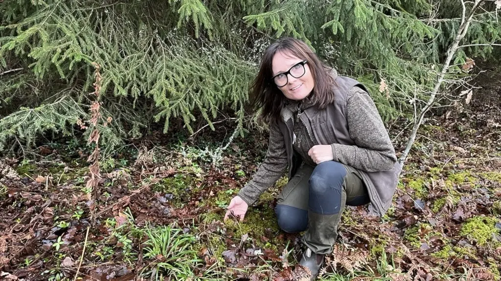Kerstin Bohlin sitter på huk i en skog och håller i växtlighet på marken. Hon är klädd i mörka kläder och omgiven av grönska och träd.