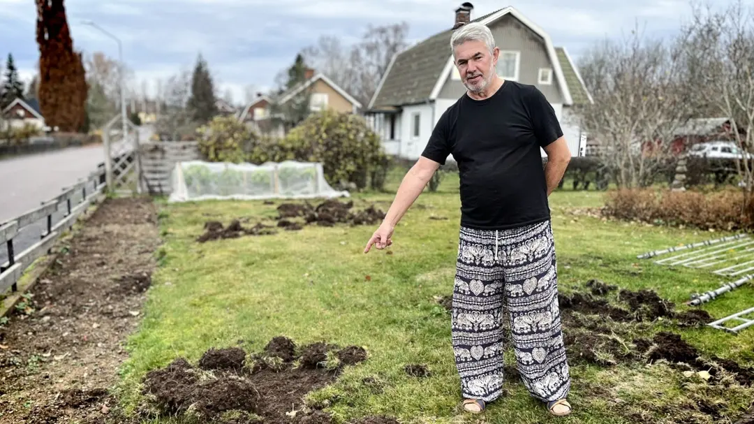 En man i svart tröja och mönstrade byxor pekar på en gräsmatta med uppgrävt jordområde i en villaområde med hus och växthus i bakgrunden. Himlen är molnig.