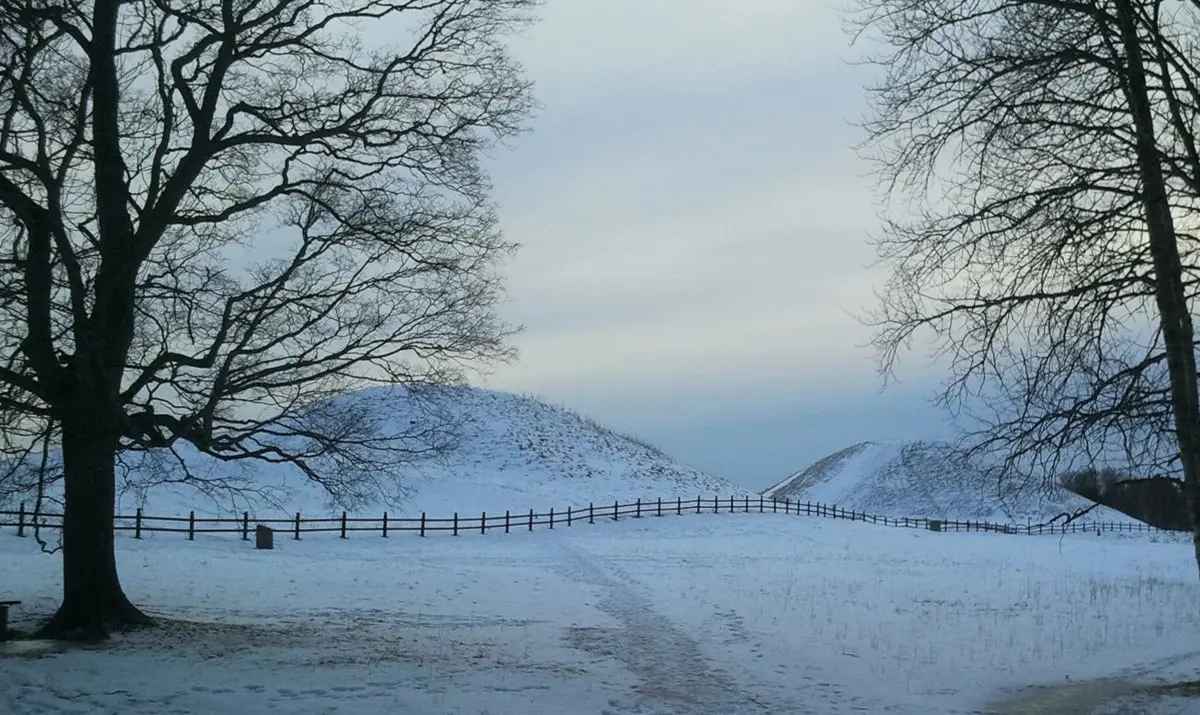 Högarna i Gamla Uppsala där ett 40-tal grävda gropar hittades på onsdagen. Foto: Cathrin Reth / SR