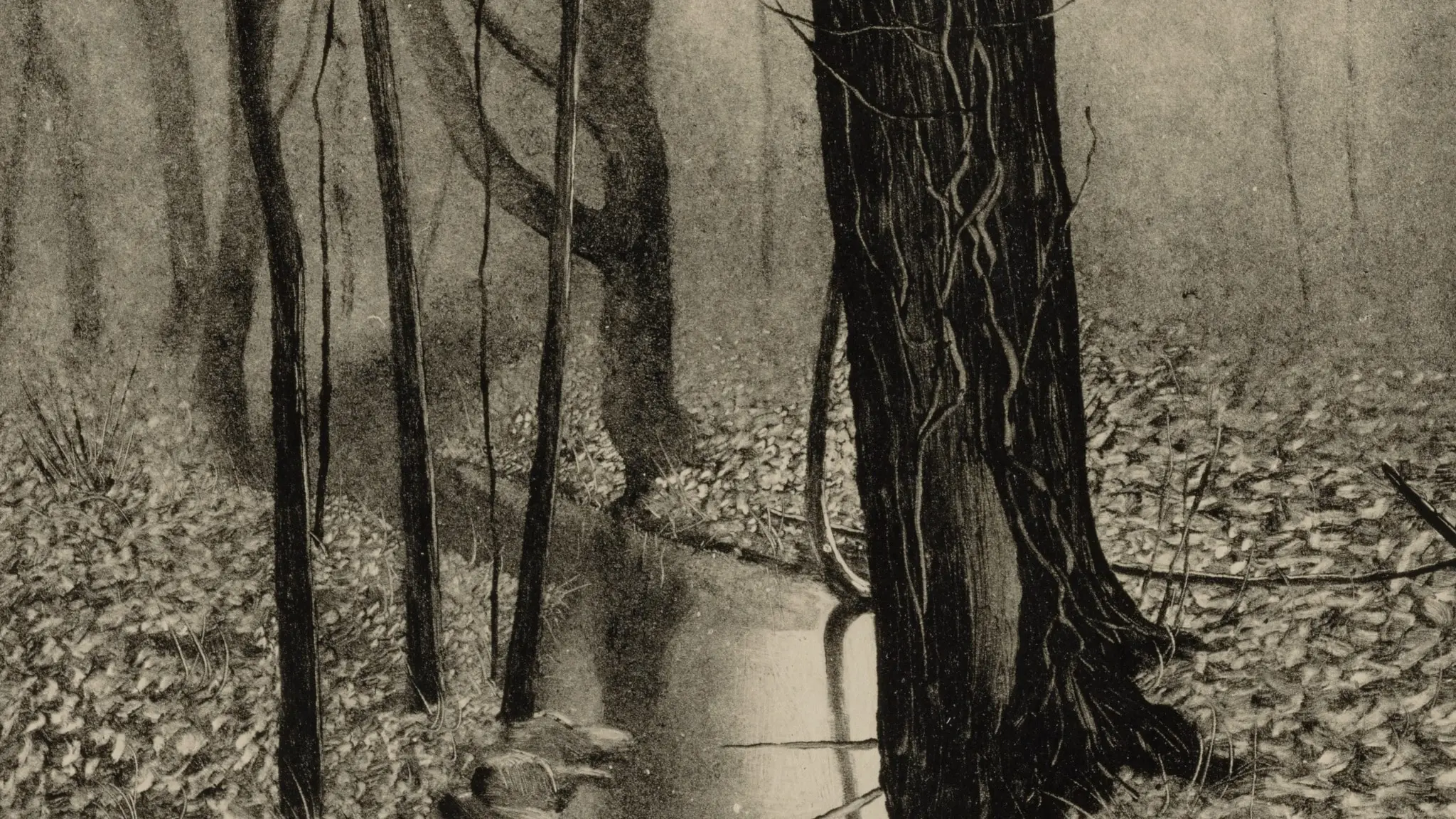 Autumn Lake Mohegan av Seth Hoffman