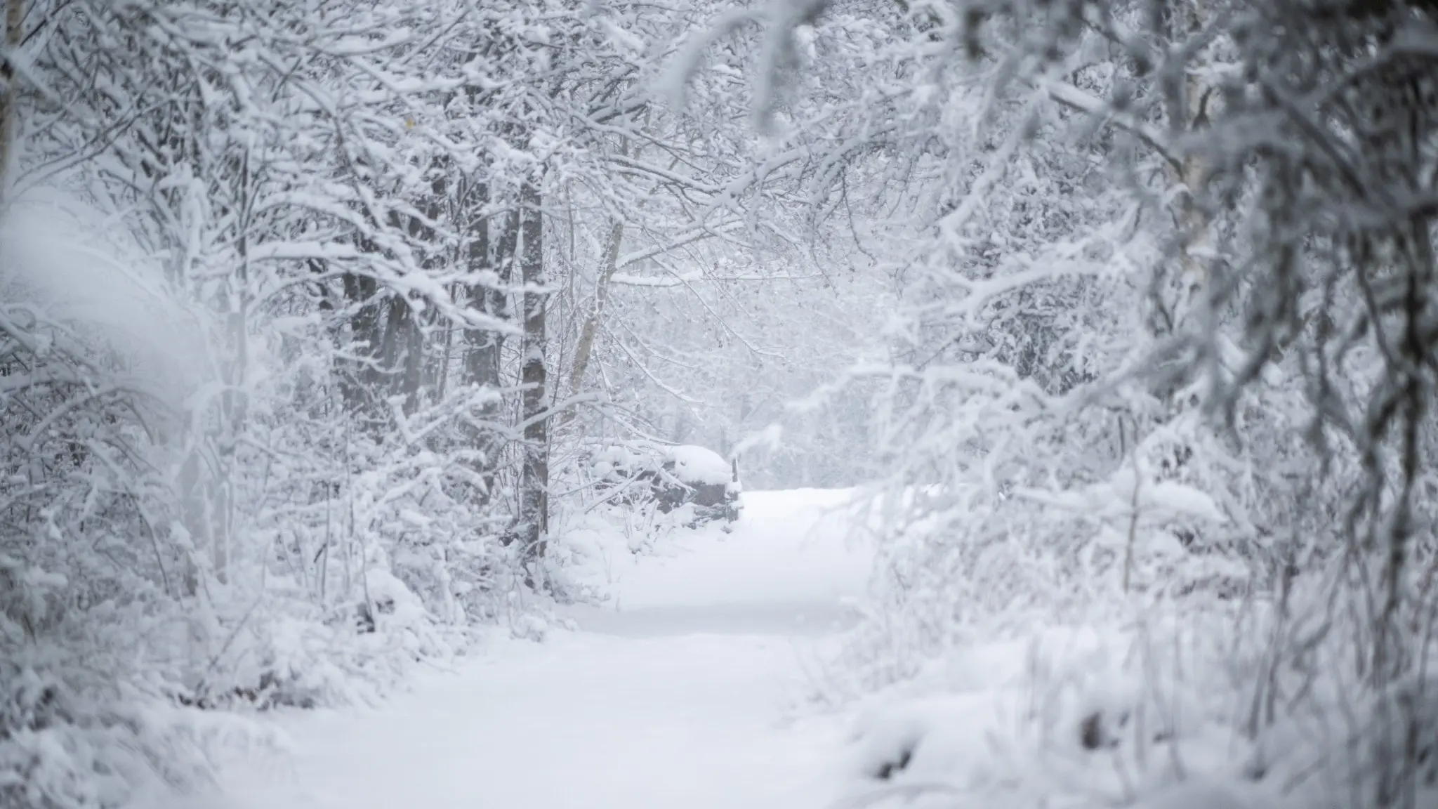 Vinterlandskap i Nybrotrakten i Småland efter att ett kraftigt snöoväder dragit in över sydöstra Sverige.
