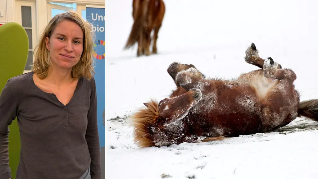 Marie Glahn är ekolog, naturvårdsbiolog och projektledare på Blekinge arkipelag.