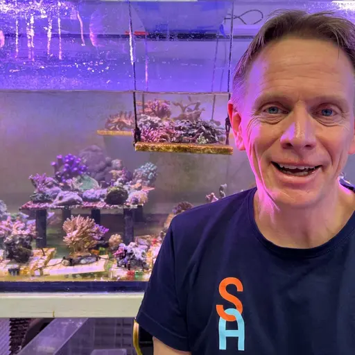 En person står framför ett stort akvarium där koraller odlas och bevaras. Akvariet är upplyst med blått ljus och innehåller flera färgglada koraller och marina växter.