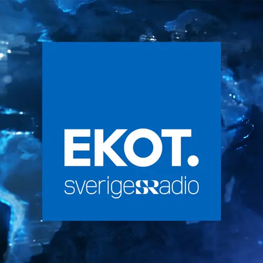 Programbild för Ekots redaktionssida