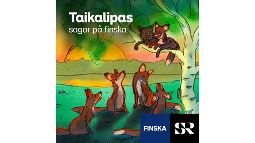 Konvolut för Taikalipas (finska)