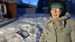 Signe oon pesemässä mattoja ja vaatheita pakkasessa.