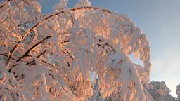 Valosampi joka päivä. 