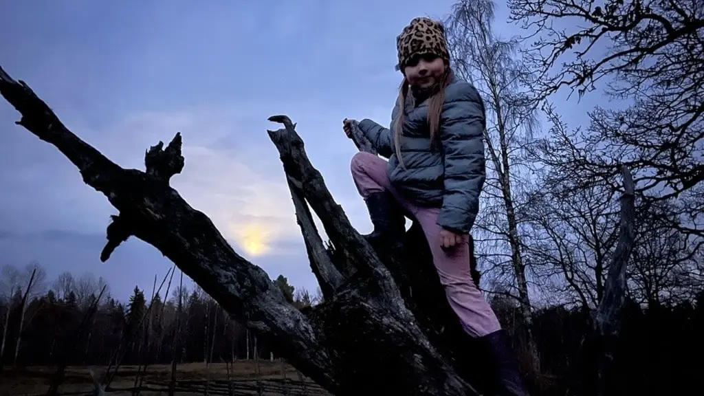 flicka klättrar på trädstam i skymning