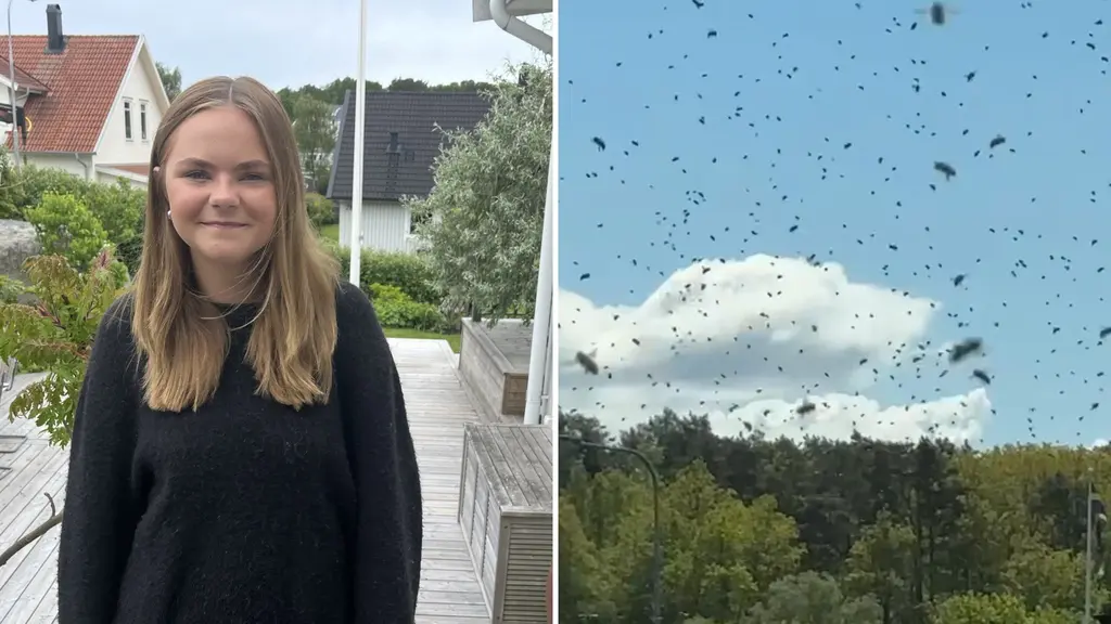 Betty Eidenskog står på en altan i Fiskebäck, omgiven av grönska och hus, medan en massiv bisvärm syns i himlen över trädtoppar i bakgrunden.