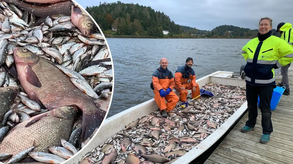 fiskar i båt och kvinna på brygga