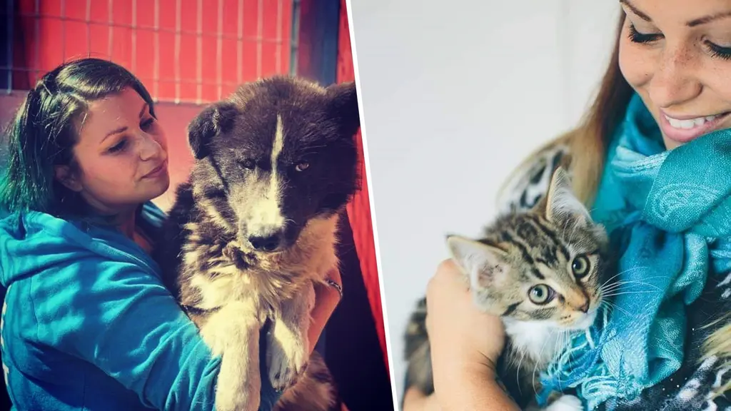 En person har en stor hund i sin famn och på den andra bilden håller en person en kattunge i famnen. 