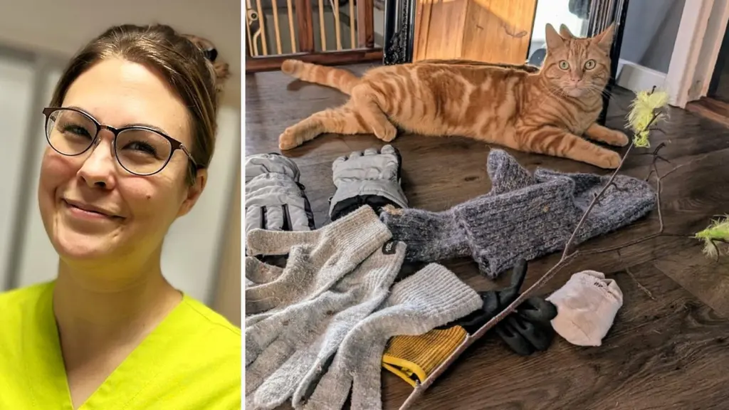 Veterinären Ida Levin i Vislanda och katten Torulf som fått smeknamnet Kleptokatten.