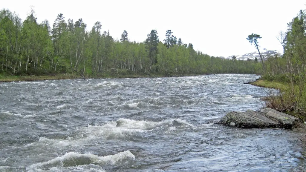 Vindelälven uppströms Ammarnäs 