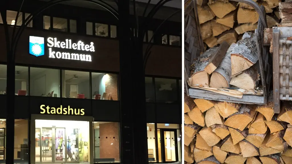 Skellefteå kommunhus och björkved. Foto: Hjalmar Åman/Sveriges Radio och Fredrik Sandberg/TT