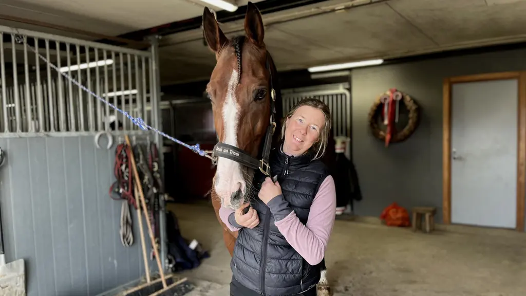 En kvinna med rosa tröja och svart dunväst står i ett stall med en brun häst med vit mule. Det är travkusken Susanne H Osterling i på Solänget i Örnsköldsvik som tipsar trafikanter hur de ska göra när de hamnar bakom en hästtransport.