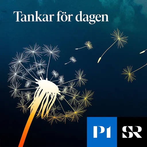 Konvolut för Tankar för dagen