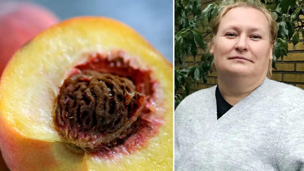 Till vänster: En persika. Till höger: Elisabeth Bjurfalk