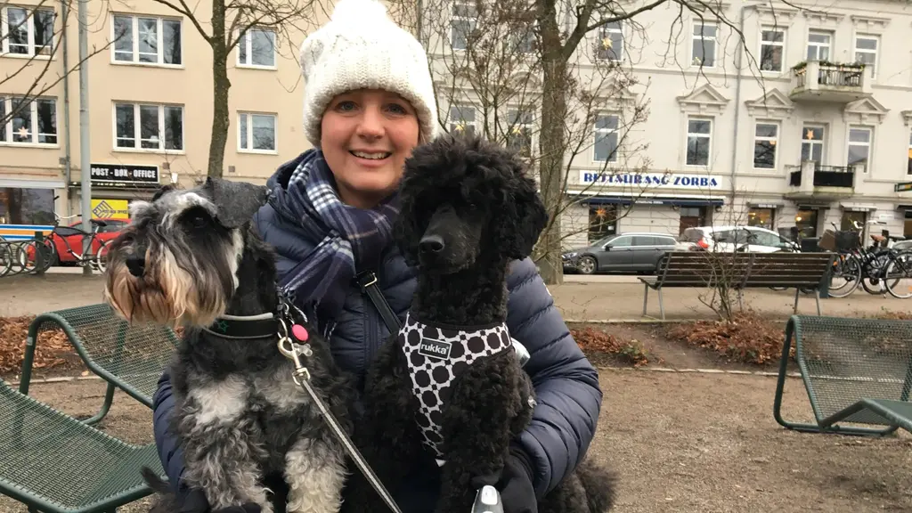 Malin Grönberg och hundarna Eddie och Gizmo tycker att en ljus- och ljudshow skulle vara bra då hunden Gizmo blir stressad på nyårsafton. 