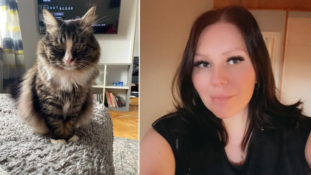 Till vänster syns katten Max sittandes på en soffa, och den högra bilden visar Cassandra. 