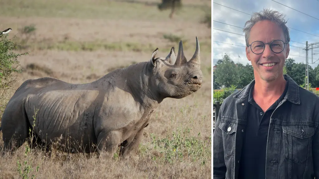 Till vänster syns en noshörning i ett öppet savannlandskap, till höger en person identifierad som Markus Lutteman klädd i jeansjacka framför en bakgrund med träd och kraftledningar.