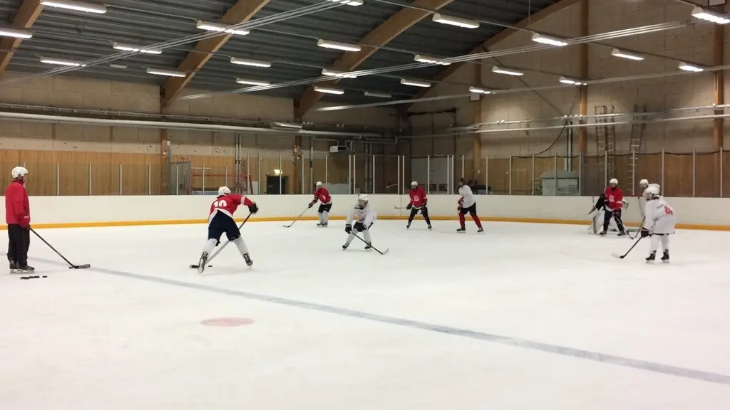 Östergötlands lag i TV-pucken tränar.