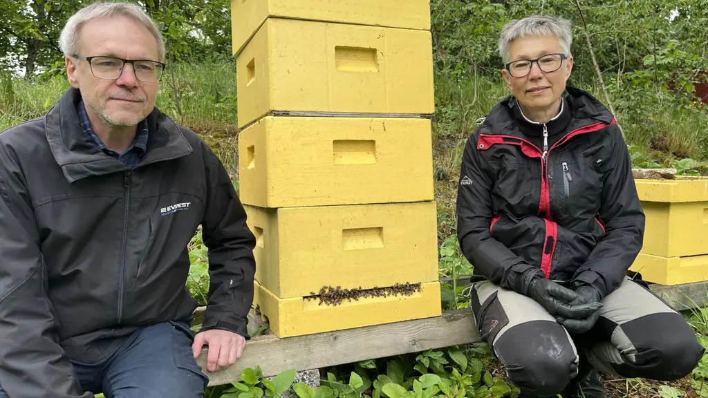 Annika Leifsson, Norrköpings biodlarförening och Magnus Lillrot, ordförande Östergötlands biodlardistrikt.