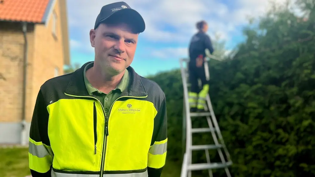 Trädgårdsmästare Fredrik Allborg från Alsätters trädgårdar i Söderköping står i förgrunden med gul arbetsjacka, medan en person klipper häck på en stege i bakgrunden.